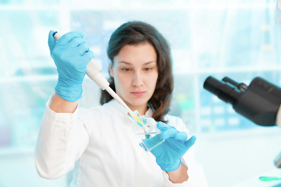 Scientist Using Pipette Photograph by Wladimir Bulgar/science Photo ...