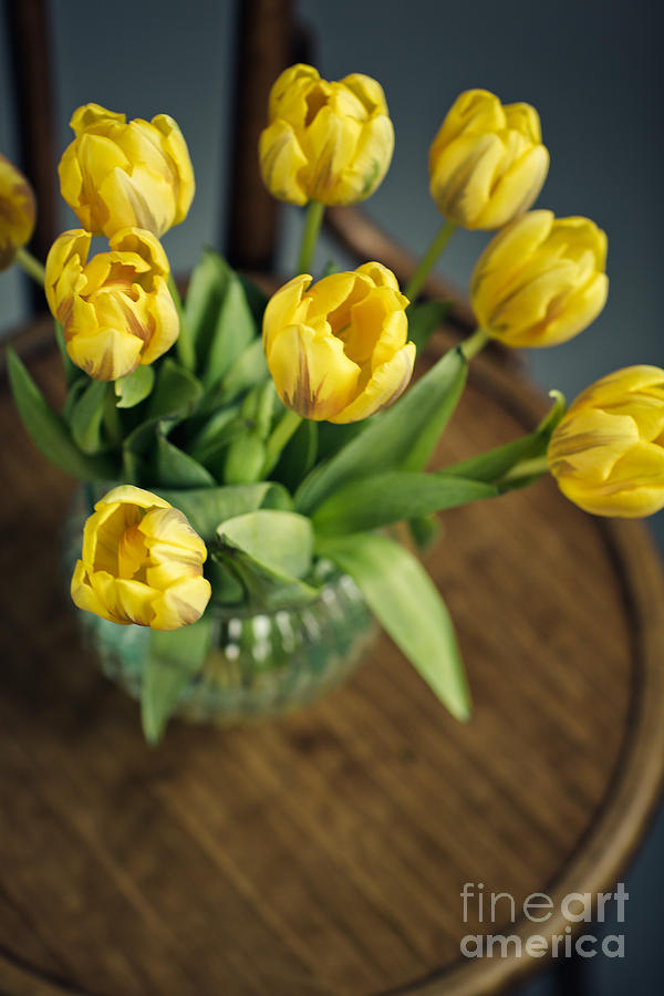 Still Life Photograph - Still Life with Yellow Tulips #6 by Nailia Schwarz