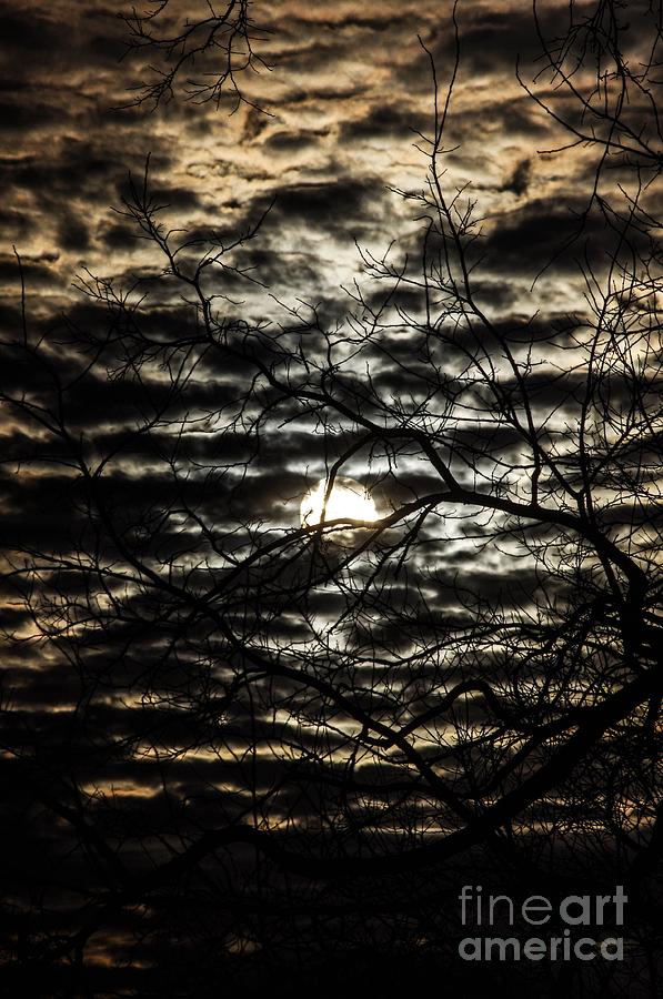 Sun Set #7 Photograph by Gerald Kloss