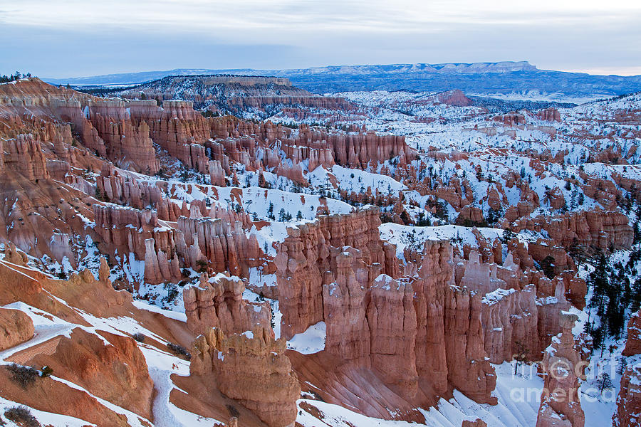 Sunset Point Bryce Canyon National Park Photograph by Fred Stearns