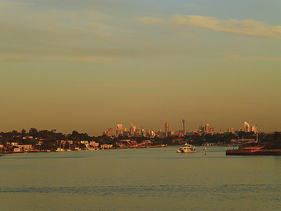 Sydney Sunset Photograph