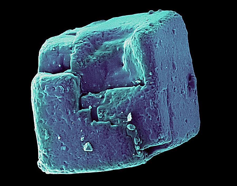 6-table-salt-crystal-nacl-dennis-kunkel-