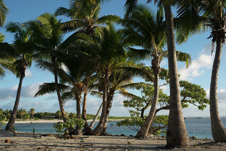 Paradise Photograph - The Cook Islands #6 by Sergi Reboredo