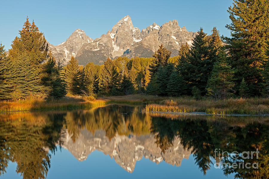 The Grand Tetons Schwabacher Landing Grand Teton National Park #1 Photograph by Fred Stearns