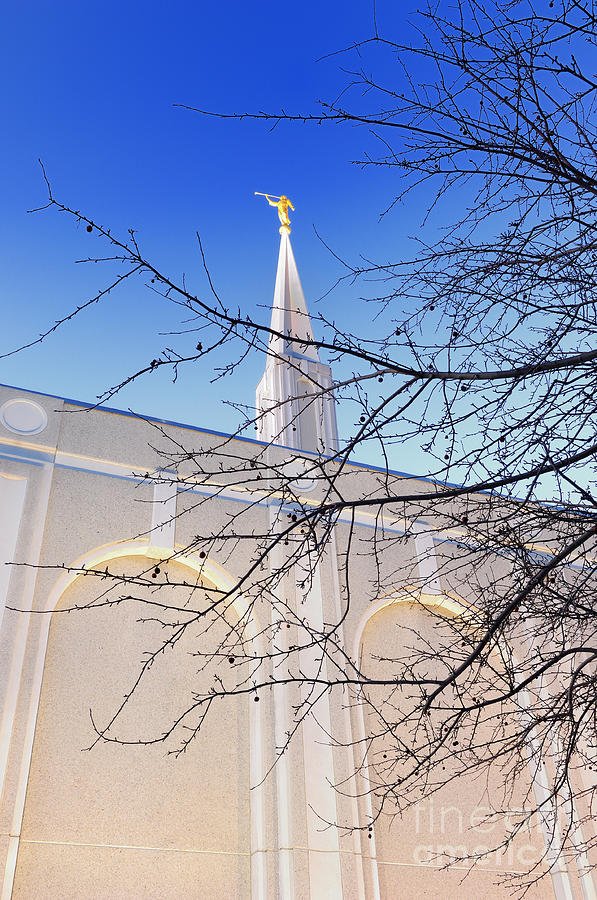 Toronto LDS Mormon Temple #6 Photograph by Laurent Lucuix