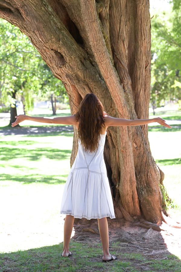 Summer Photograph - Tree Hugging #6 by Ian Hooton/science Photo Library
