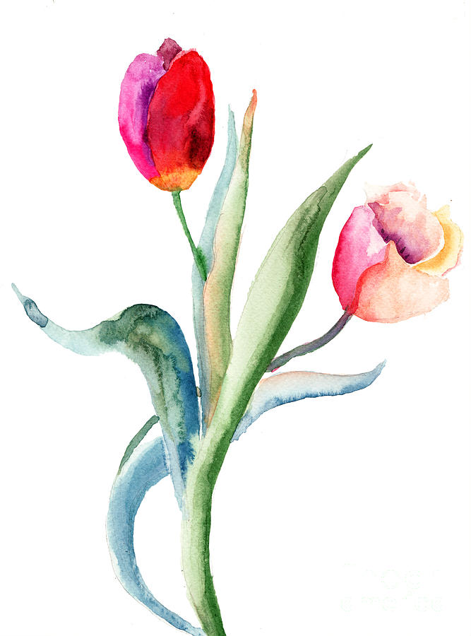 Flower Painting - Tulips flowers  #6 by Regina Jershova
