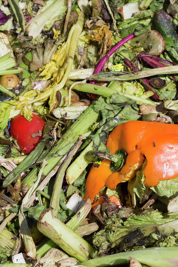 University Of Arizona Photograph - University Food Waste Composting Program #6 by Jim West/science Photo Library