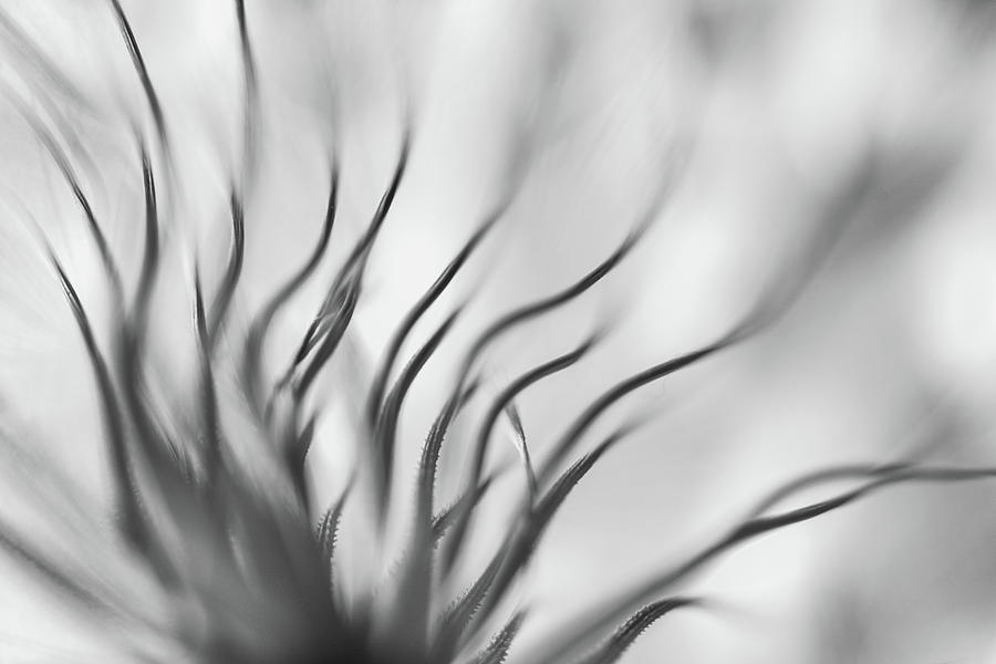 Abstract Photograph - Untitled #6 by Keren Or