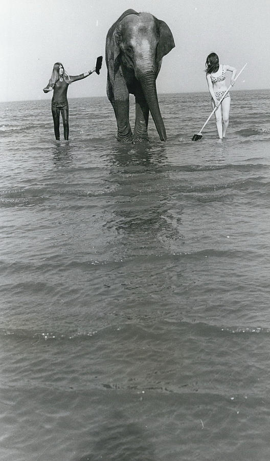 Elephant bath Photograph by Retro Images Archive