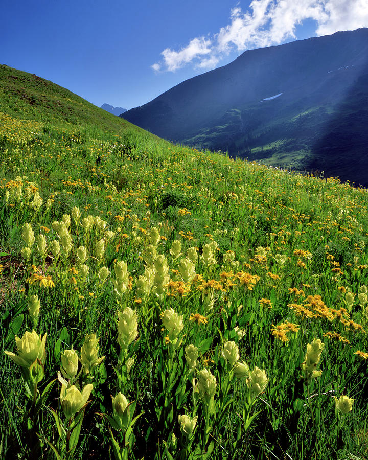 USA, Colorado, Gunnison National Forest #6 Photograph by Jaynes Gallery ...