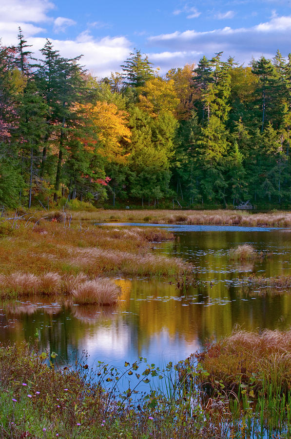 Fall Photograph - USA, New York, Adirondack Mountains #6 by Jaynes Gallery