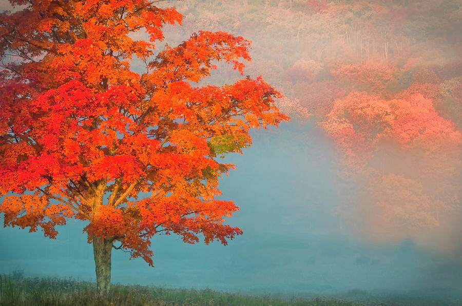 Fall Photograph - USA, West Virginia, Davis #6 by Jaynes Gallery