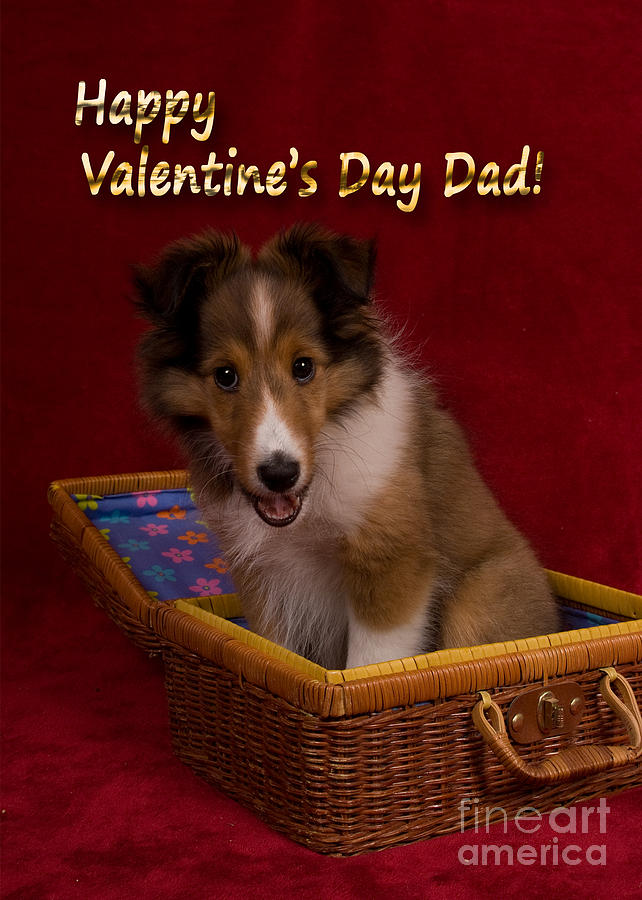 Candy Photograph - Valentines Day Sheltie Puppy #6 by Jeanette K