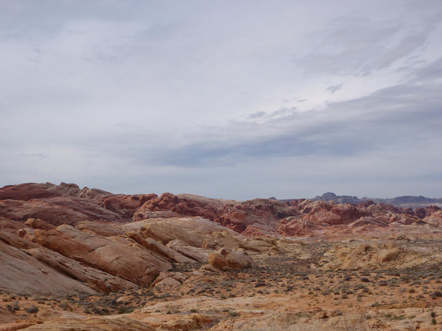 Valley of Fire Nevada #6 Photograph by Susan Jensen
