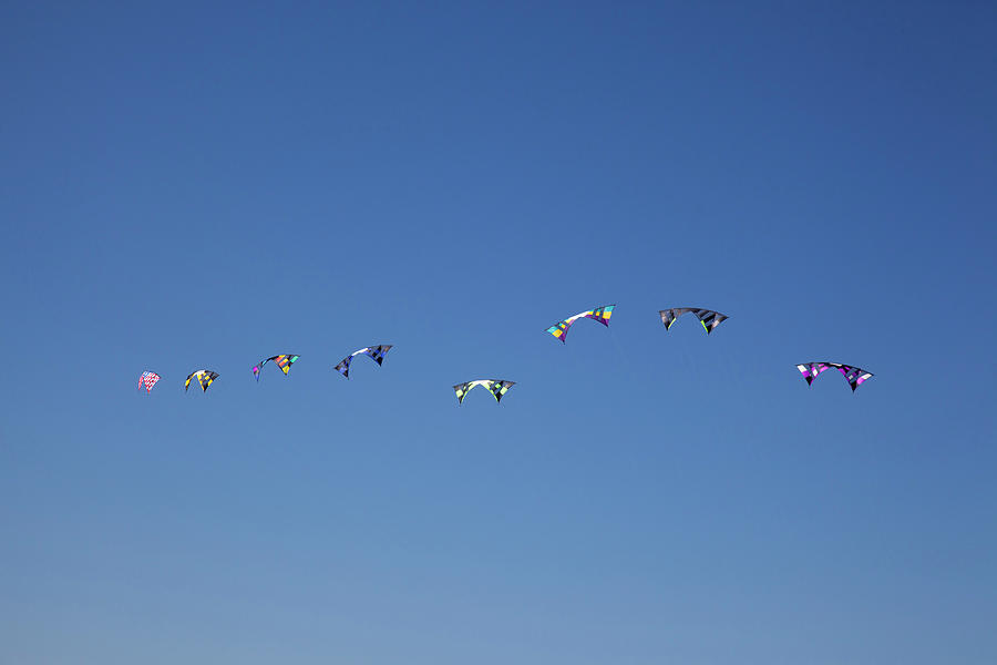 Beach Photograph - Wa, Long Beach, International Kite by Jamie and Judy Wild Beach Photograph - Wa, Long Beach, International Kite by Jamie and Judy Wild
