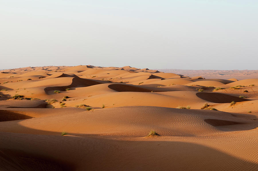 Wahiba Sands Desert, Oman Photograph by Sergio Pitamitz