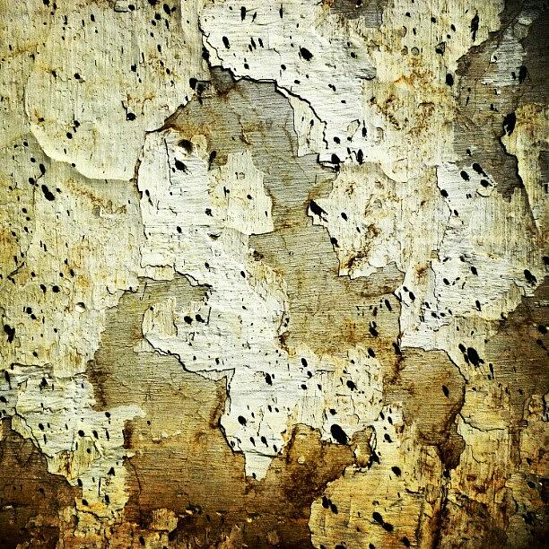 Backdrop Photograph - Wall Texture #6 by Rahmat Nugroho