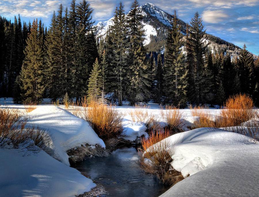 Wasatch Mountains in Winter #6 Photograph by Douglas Pulsipher