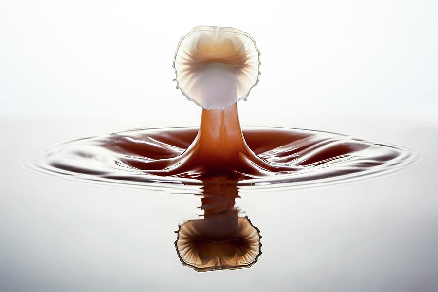 Water And Milk Drop Impact #6 Photograph by Frank Fox/science Photo Library