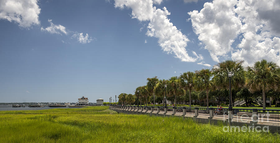 Waterfront Park in Charleston #6 Photograph by David Oppenheimer