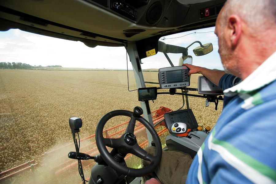 Common Wheat Photograph - Wheat Harvesting by Lewis Houghton/science Photo Library Common Wheat Photograph - Wheat Harvesting by Lewis Houghton/science Photo Library