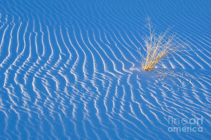 White Sands National Monument Photograph - White Sands #6 by John Shaw