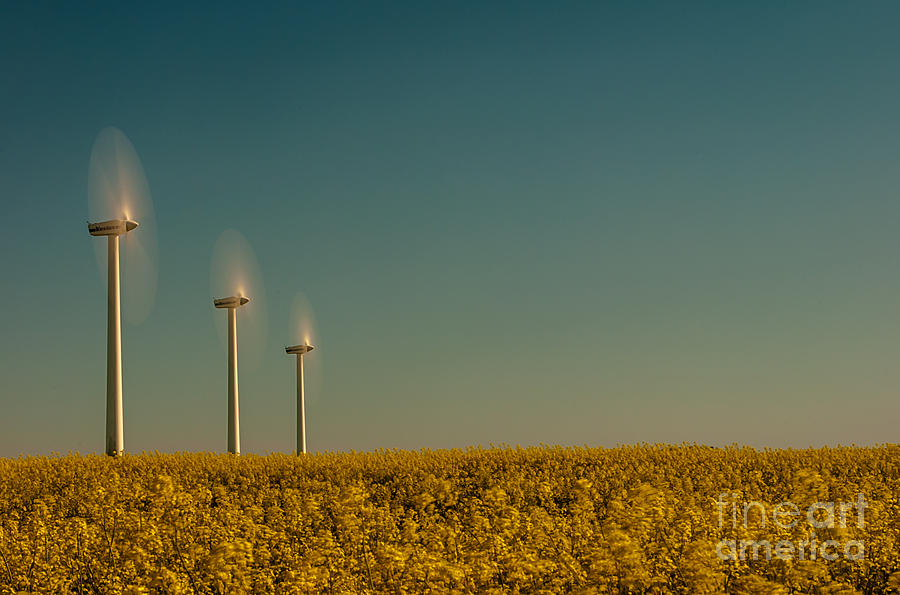 Wind power #6 Photograph by Jorgen Norgaard