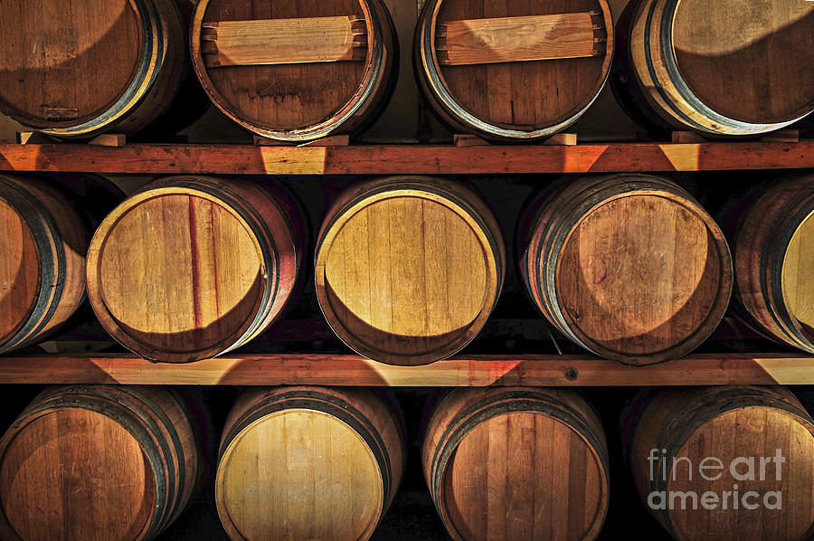 Wine Photograph - Wine barrels 3 by Elena Elisseeva
