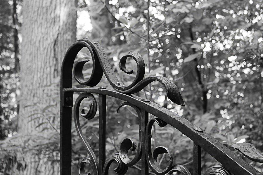 Wrought Iron Gate Photograph by Joyce Baldassarre - Fine Art America