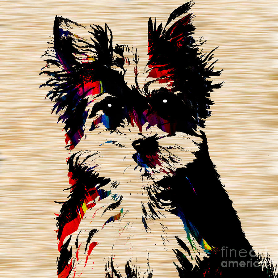 Yorkshire Terrier #6 Mixed Media by Marvin Blaine