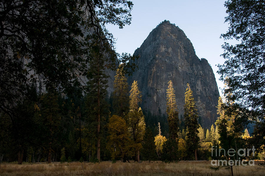 Yosemite National Park #6 Photograph by Mark Newman