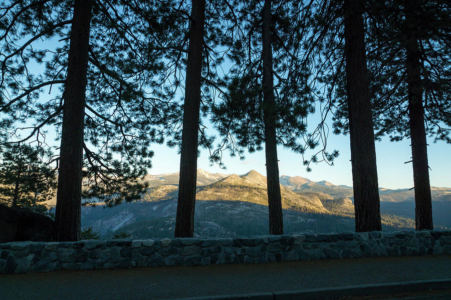 Yosemite National Park #6 Photograph by Terry Schmidbauer Yosemite National Park #6 Photograph by Terry Schmidbauer