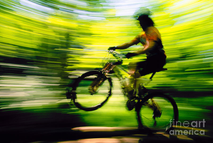 Young man mountain biking in a forest Stowe VT USA #6 Photograph by Don Landwehrle