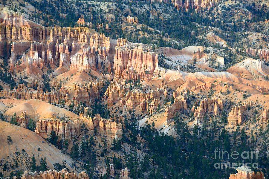 Bryce Canyon #60 Photograph by Marc Bittan