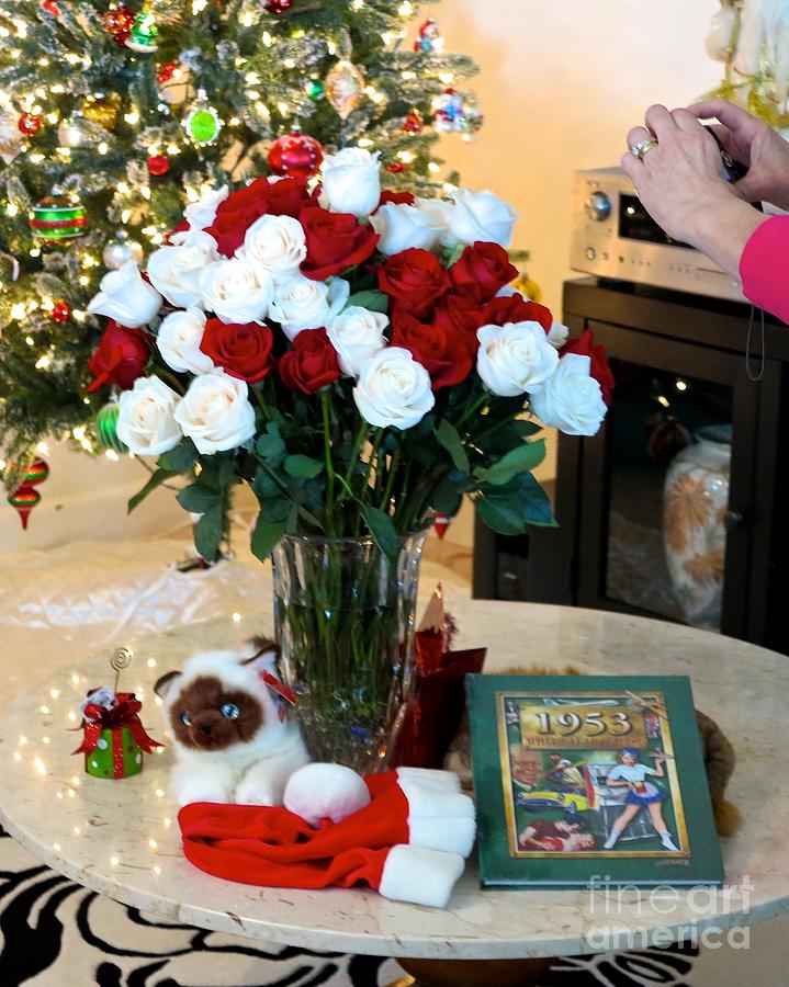 60 Roses 65 Year Anniversary 2 days after Christmas Photograph by Phyllis Kaltenbach