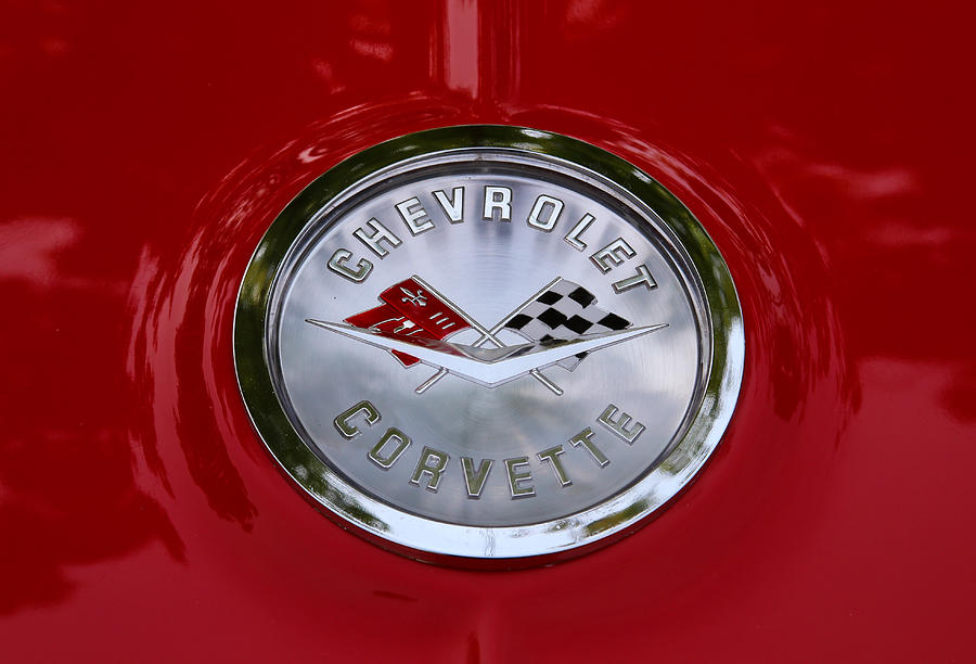 61 Chevy Corvette Photograph by Rachel Cohen