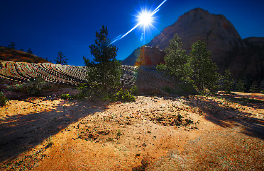 Zion National Park Utah USA #61 Photograph by Richard Wiggins