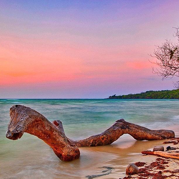 Summer Photograph - Instagram Photo by Tommy Tjahjono Summer Photograph - Instagram Photo by Tommy Tjahjono