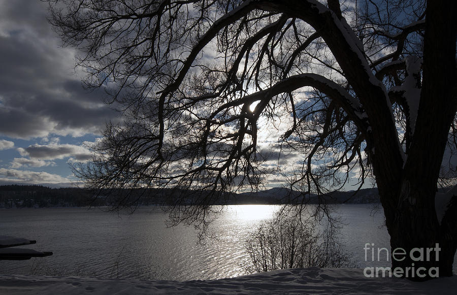 616A Lake Coeur dAlene Photograph by Cindy Murphy - NightVisions 