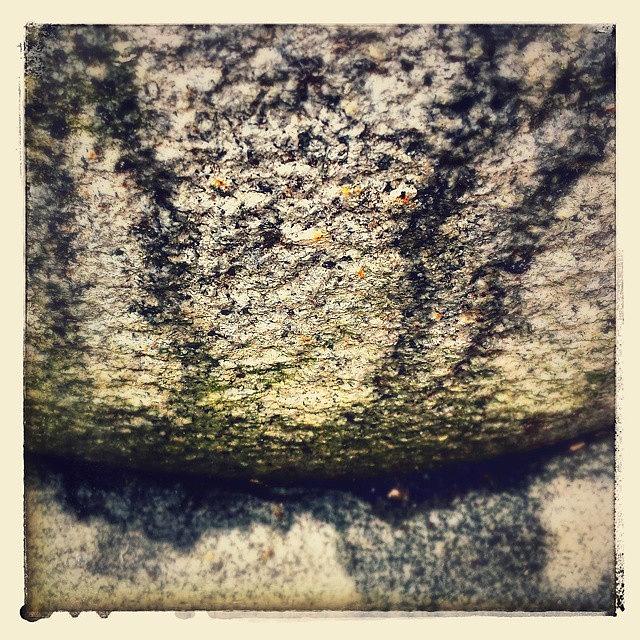 Beautiful Photograph - Textured 1 by J Roustie Beautiful Photograph - Textured 1 by J Roustie