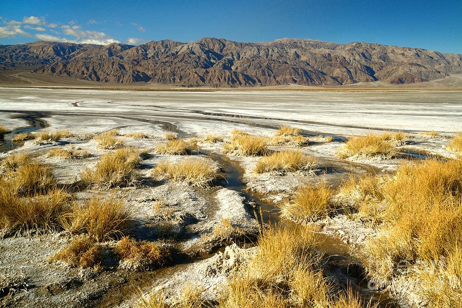 Death Valley #62 Photograph by Marc Bittan