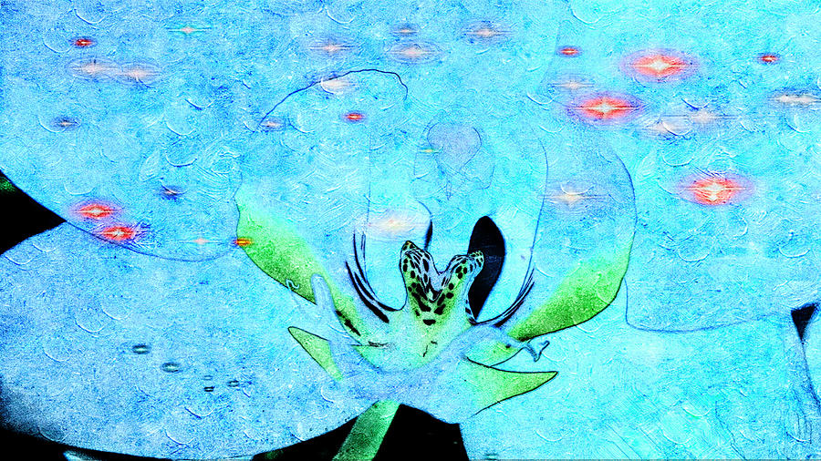 Orchids #62 Painting by Xueyin Chen