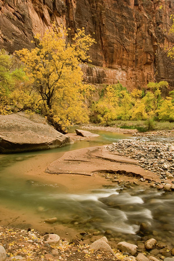 Zion National Park Photograph - USA, Utah, Zion National Park #63 by Jaynes Gallery