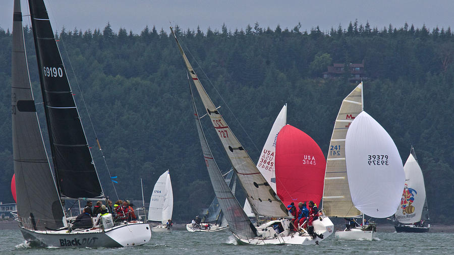 Seattle Photograph - Whidbey Island Race Week #63 by Steven Lapkin