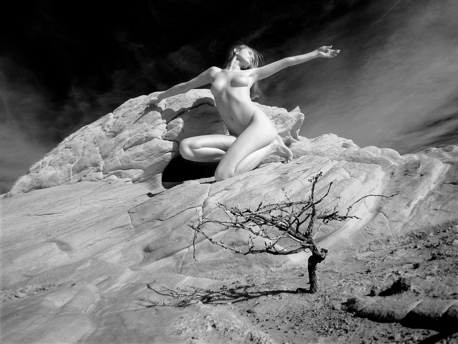 6320 Desert Nude with Tree Photograph by Chris Maher