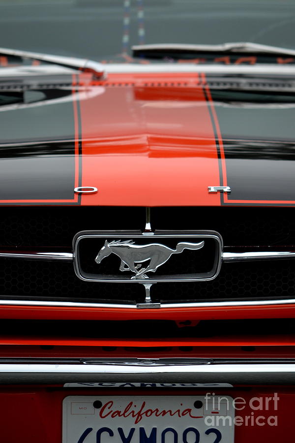 65 Mustang Photograph by Dean Ferreira