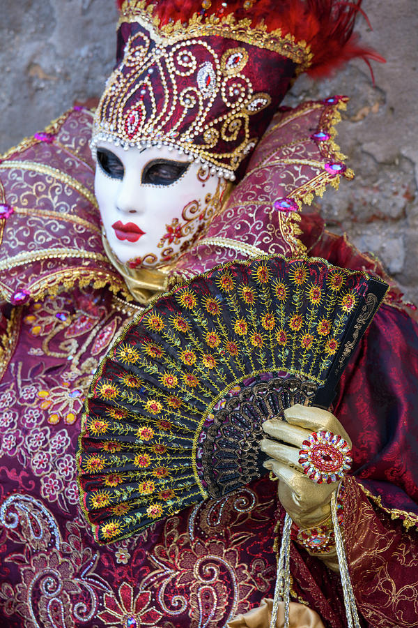 Venice At Carnival Time, Italy Photograph by Darrell Gulin - Pixels