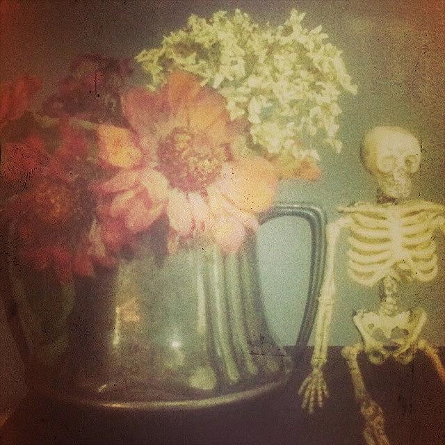 Flower Photograph - Instagram Photo #20 by Marigan OMalley-Posada