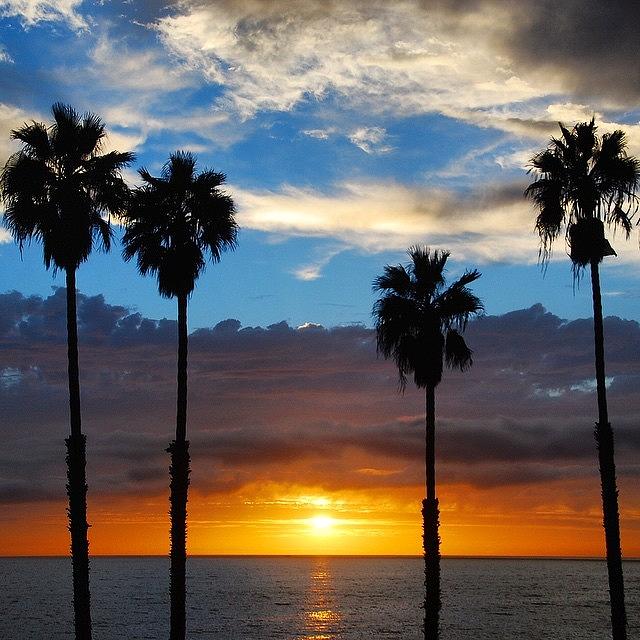Sunset Photograph - San Clemente Sunset and Palm Trees by Hal Bowles